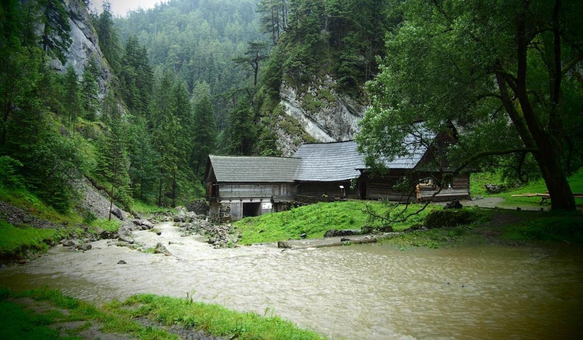 Prazdninove Byty U Kamarata Habovka Exterior photo