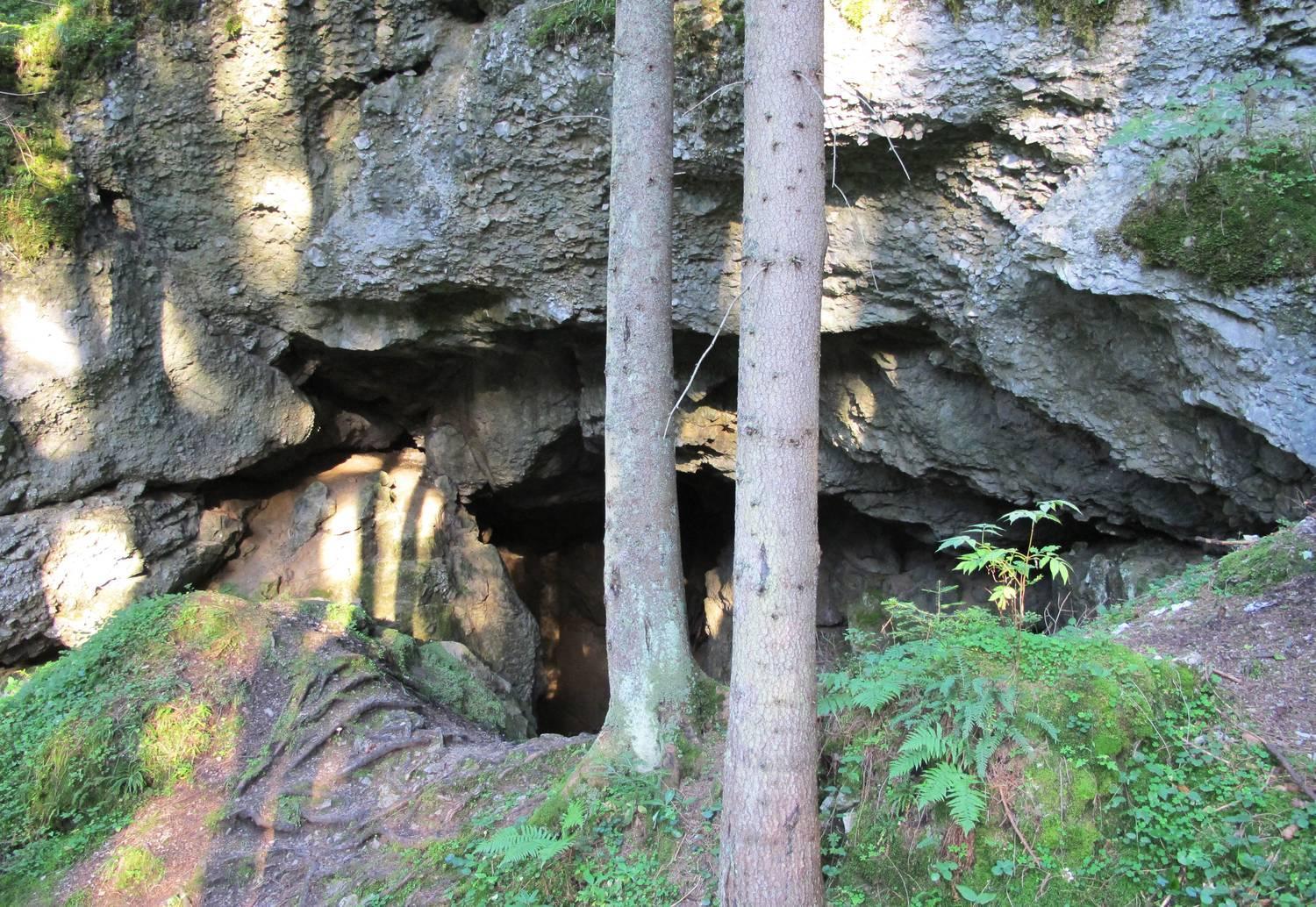 Prazdninove Byty U Kamarata Habovka Exterior photo
